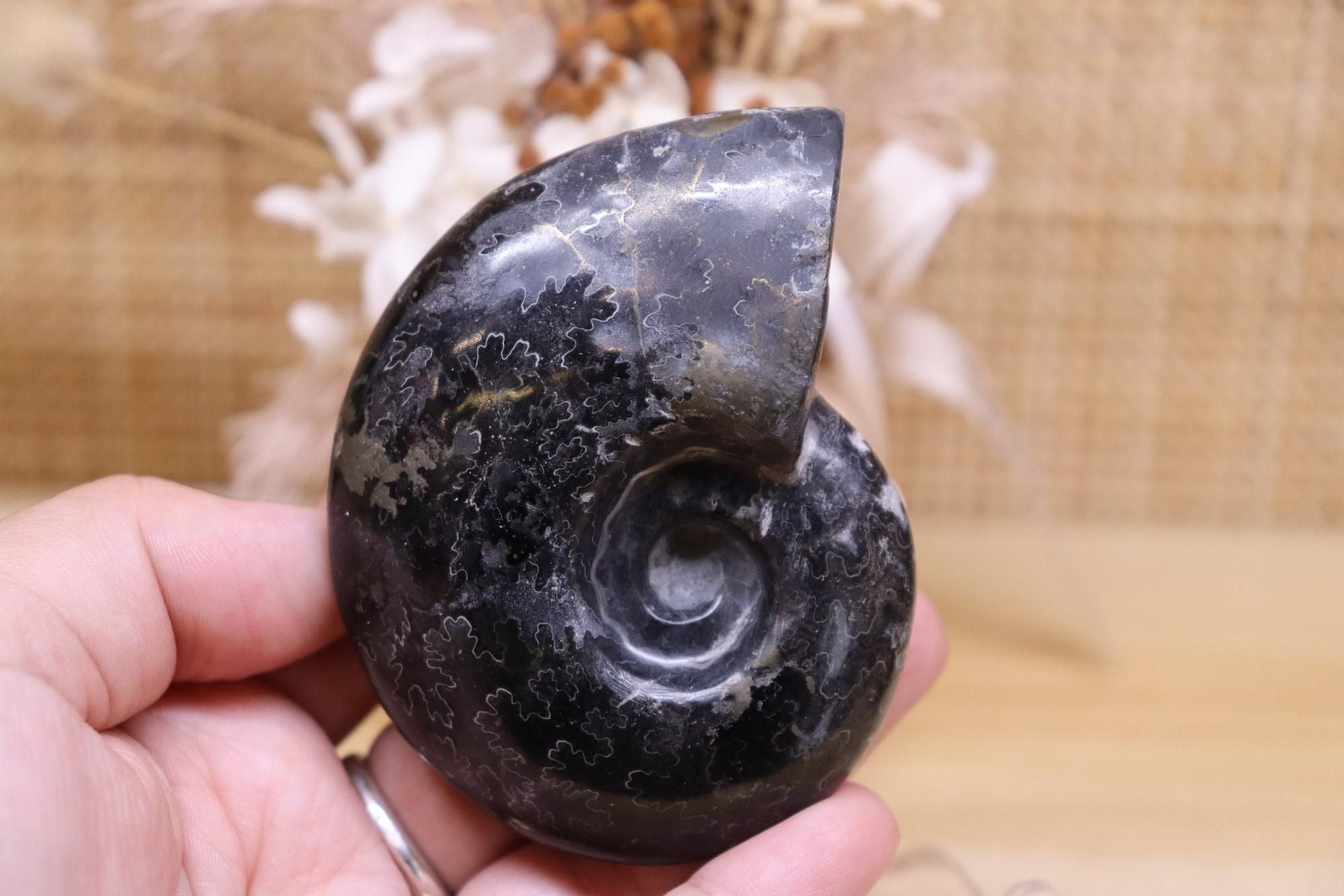 Black Ammonite & Pyrite | 125g