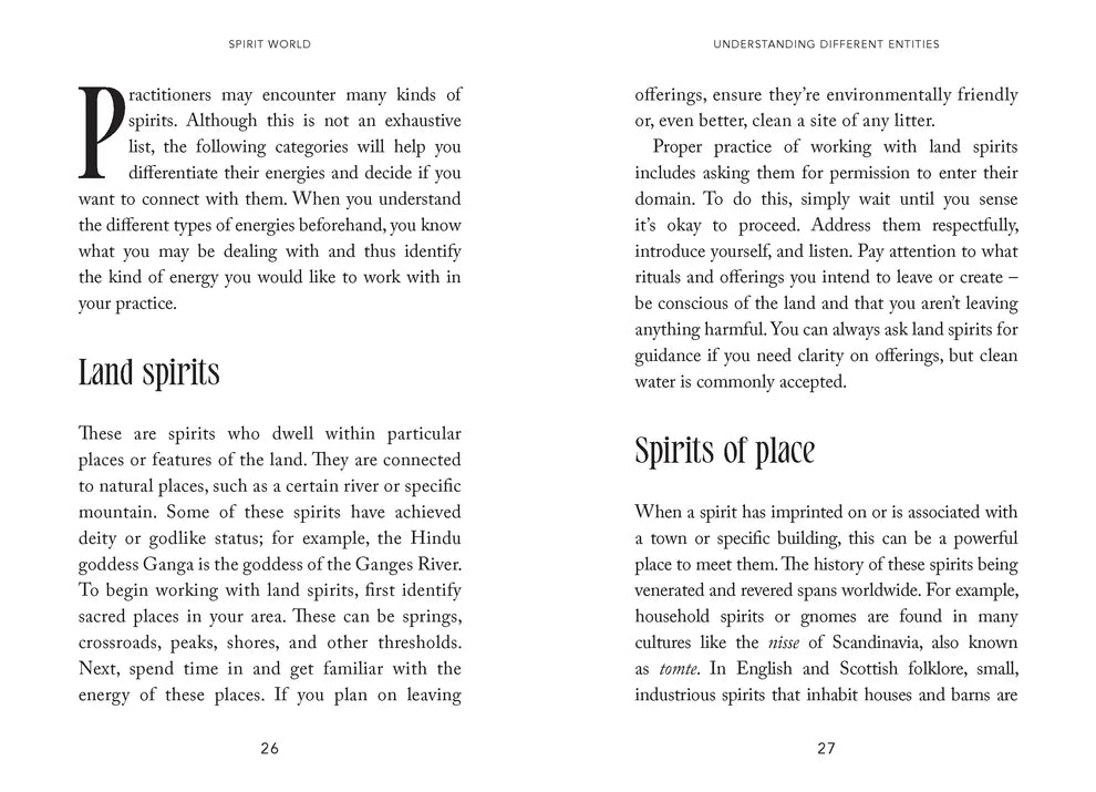 Spirit World: Guides, ancestors, entities