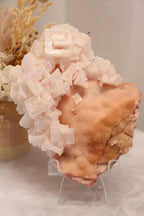 Pink Halite | Raw Specimen + Stand 342g