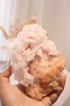 Pink Halite | Raw Specimen + Stand 342g