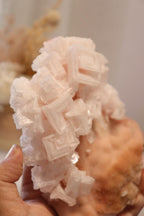Pink Halite | Raw Specimen + Stand 342g