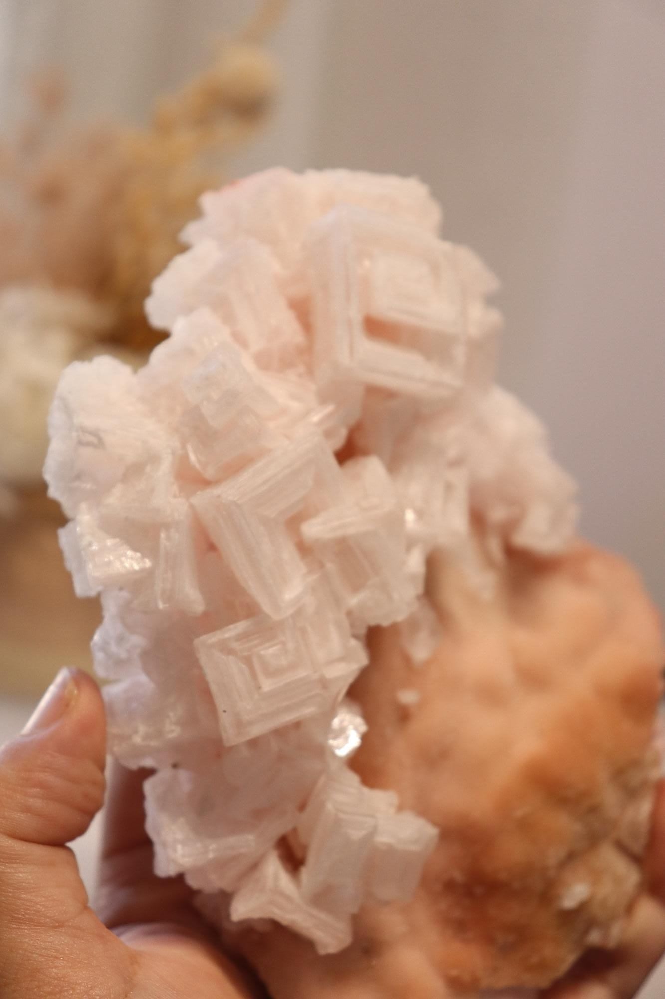 Pink Halite | Raw Specimen + Stand 342g