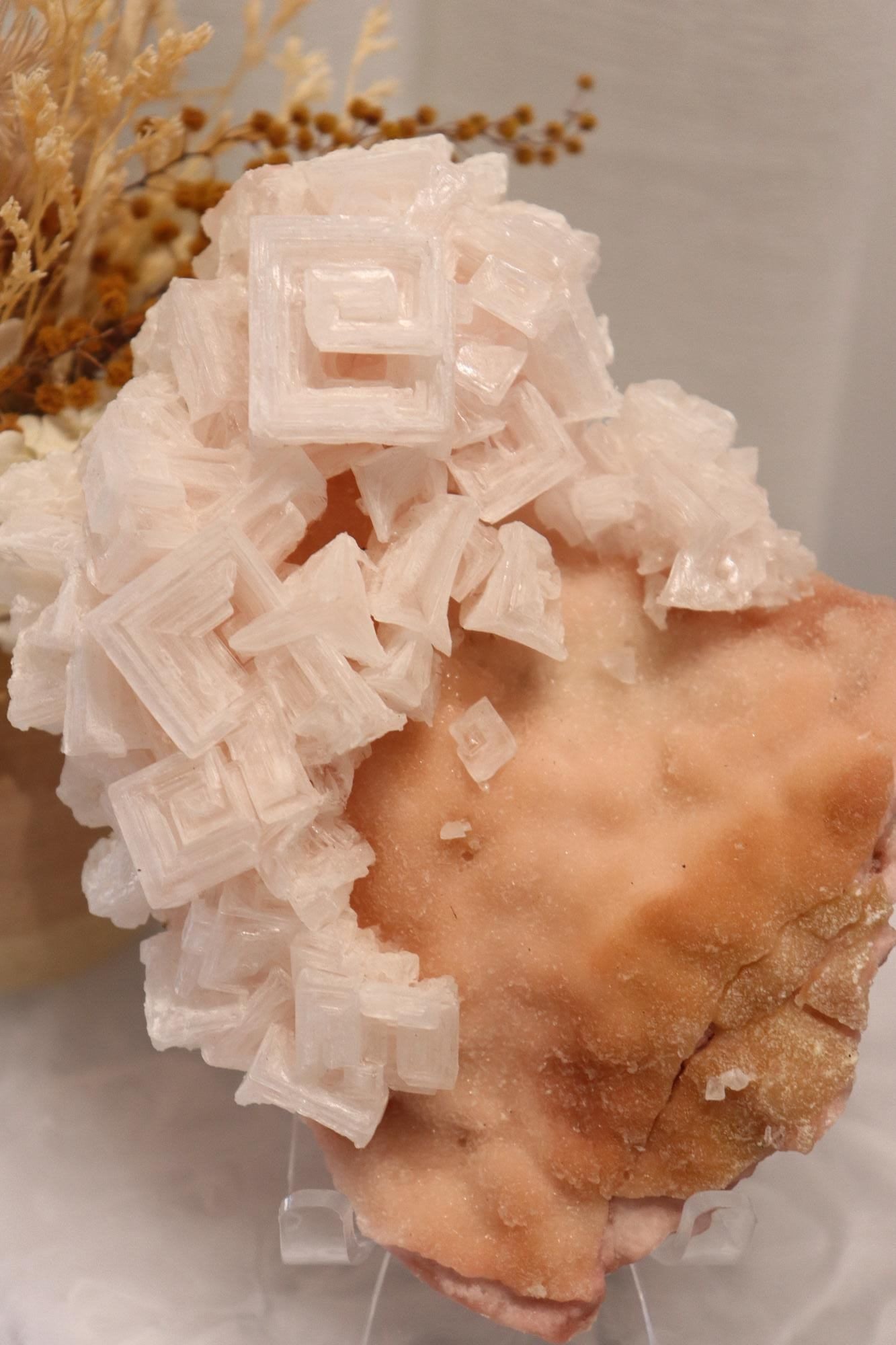 Pink Halite | Raw Specimen + Stand 342g