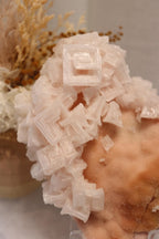 Pink Halite | Raw Specimen + Stand 342g