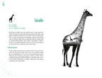An A-Z Of Animal Symbolism: Your complete guide to over 150 animal symbols