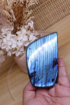 Labradorite Blue Flash | Polished Free-Form 238g