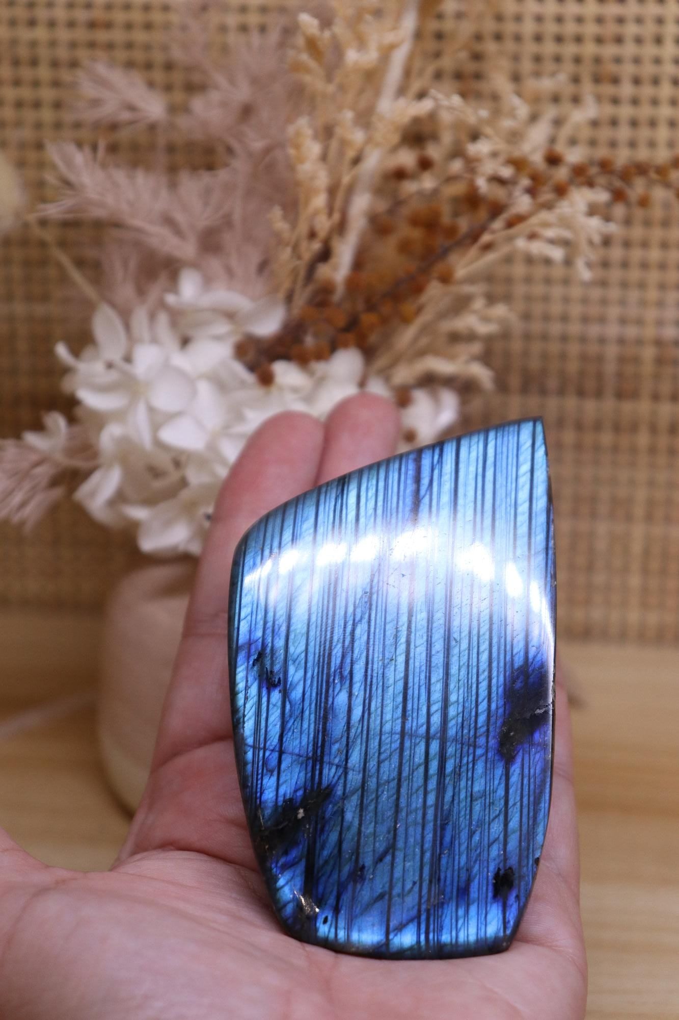 Labradorite Blue Flash | Polished Free-Form 238g