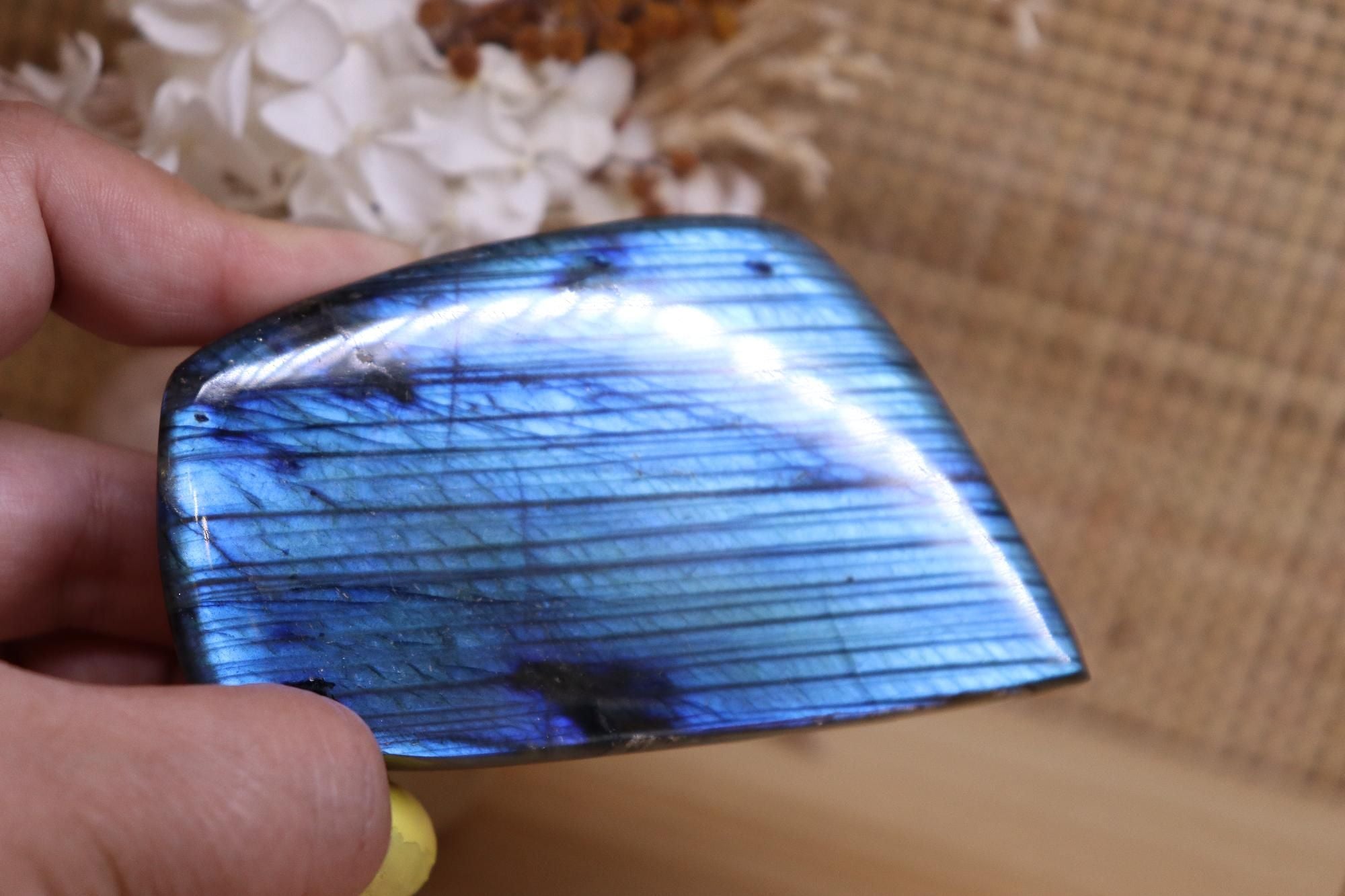 Labradorite Blue Flash | Polished Free-Form 238g